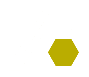 Tortuga Soccer Academy LOGO